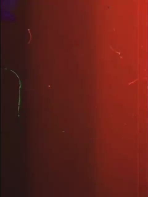 SOLDIER BOY- THE BOYS